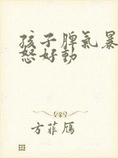 孩子脾气暴躁易怒好动封面