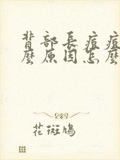 背部长痘痘是什么原因怎么办