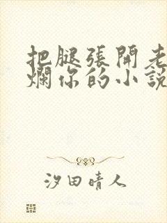 把腿张开老子臊烂你的小说