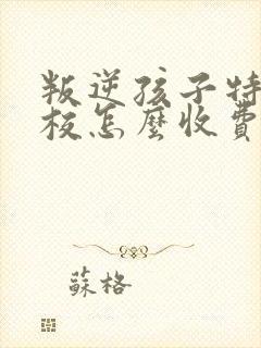 叛逆孩子特训学校怎么收费