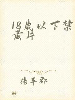 18岁以下禁看黄片