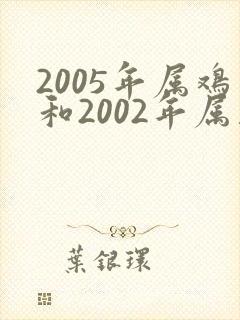 2005年属鸡和2002年属马姻缘怎么样