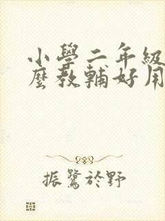 小学二年级用什么教辅好用