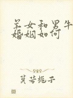 羊女和男牛相配婚姻如何封面