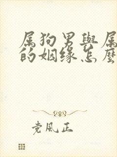 属狗男与属牛女的姻缘怎么样