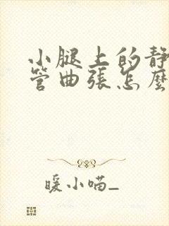 小腿上的静脉血管曲张怎么治