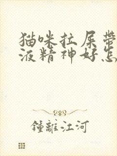 猫咪拉屎带血粘液精神好怎么回事