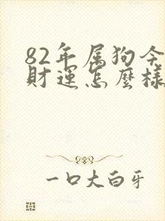 82年属狗今年财运怎么样封面