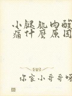 小腿肌肉酸痛胀痛什么原因封面