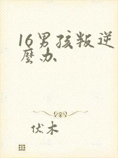 16男孩叛逆怎么办