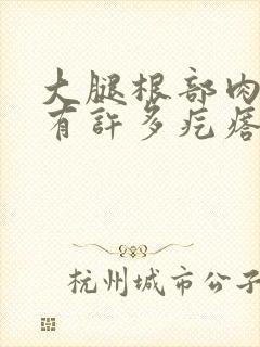 大腿根部肉里面有许多疙瘩是什么原因