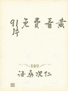 91免费看黄色片