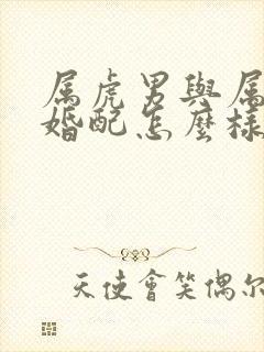 属虎男与属猪女婚配怎么样封面