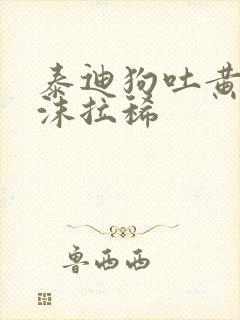 泰迪狗吐黄水带沫拉稀