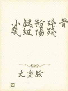 小腿粉碎骨折算几级伤残封面