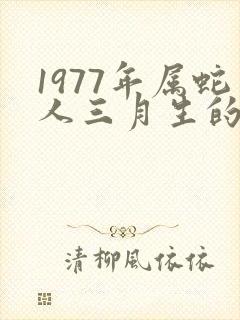 1977年属蛇人三月生的命运
