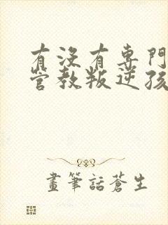 有没有专门教育管教叛逆孩子的学校学校封面