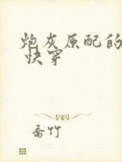 炮灰原配的人生 快穿