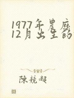 1977年农历12月出生的蛇运势