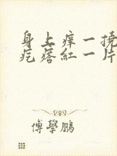 身上痒一挠就起疙瘩红一片