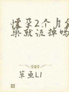 怀孕2个月能吃药就流掉吗封面