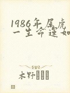 1986年属虎一生命运如何