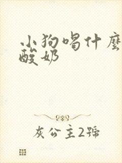 小狗喝什么样的酸奶