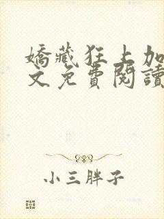 娇藏狂上加狂全文免费阅读笔趣阁