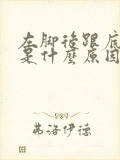 左脚后跟底疼痛是什么原因