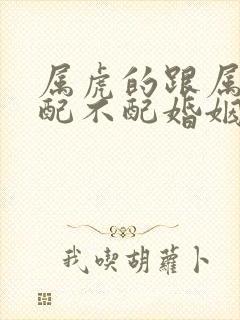 属虎的跟属兔的配不配婚姻