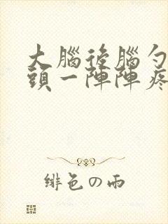 大脑后脑勺左边头一阵阵疼