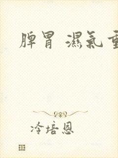 脾胃 湿气重封面