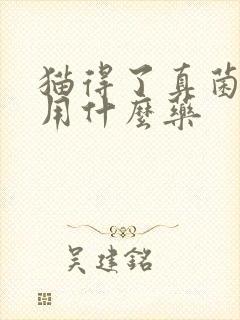 猫得了真菌感染用什么药