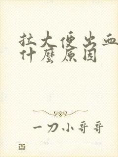 拉大便出血了是什么原因