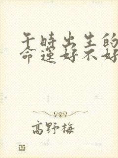 午时出生的男孩命运好不好