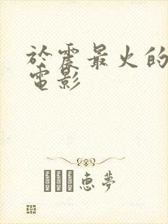 于震最火的十部电影