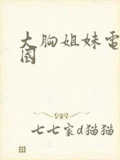 大胸姐妹电影韩国