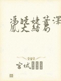 冯晓婕萧泽王雪凤大结局