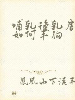 哺乳后乳房下垂如何丰胸