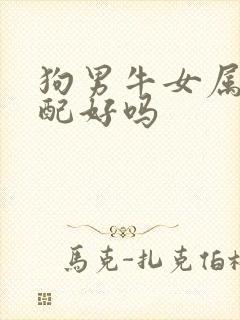 狗男牛女属相婚配好吗