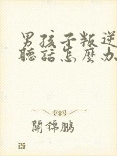 男孩子叛逆期不听话怎么办封面