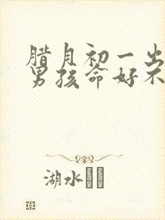 腊月初一出生的男孩命好不好