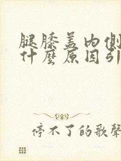 腿膝盖内侧疼是什么原因引起的