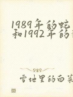 1989年的蛇和1992年的猴可否婚配