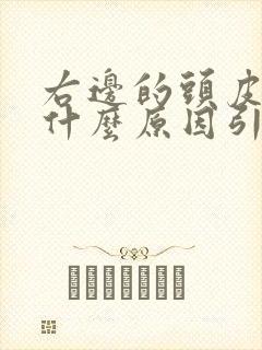 右边的头皮发麻什么原因引起的