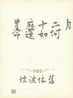 农历十二月的马命运如何