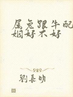 属兔跟牛配的婚姻好不好