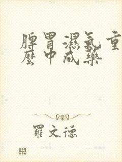 脾胃湿气重吃什么中成药