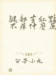 腿部有红点不痛不痒什么原因