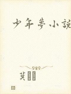 少年梦小说